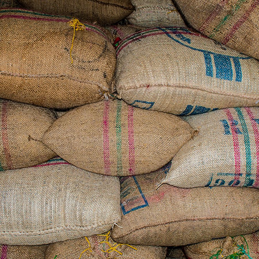 Green coffee waiting to be roasted